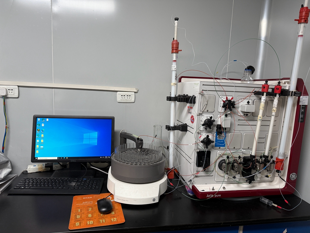 全自动蛋白纯化工作站AKTA purifier UPC 10
