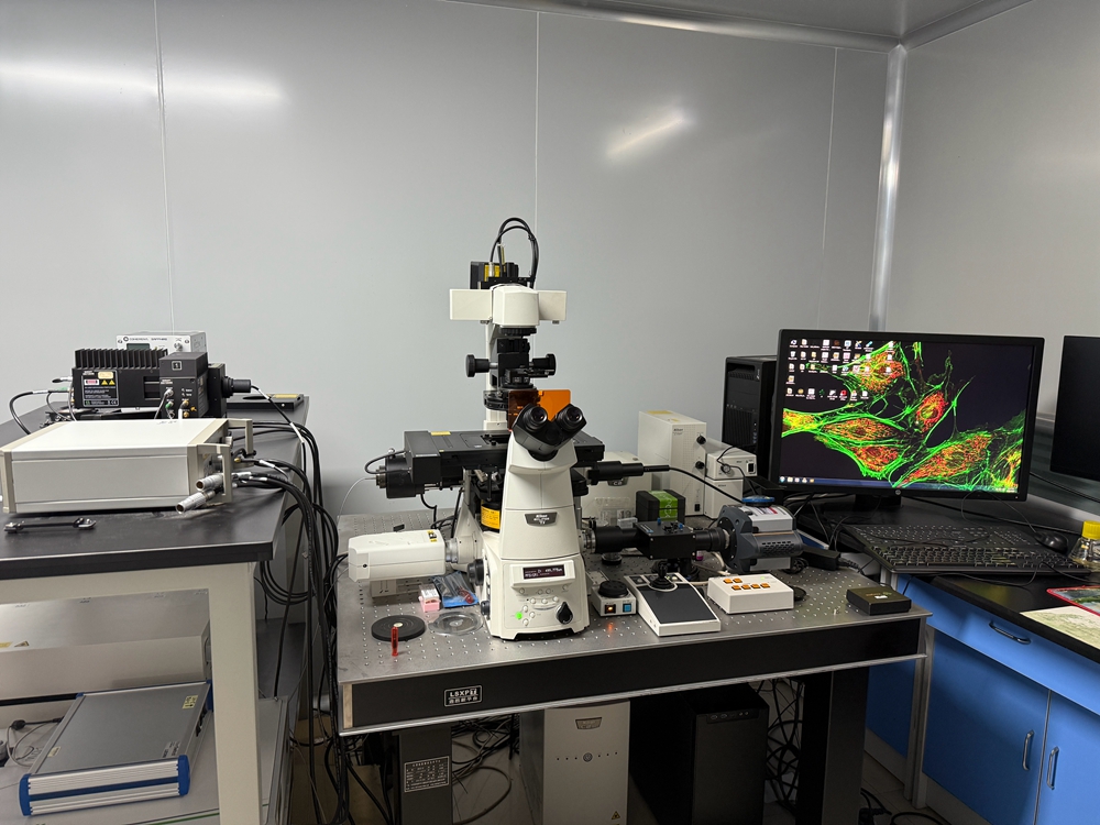 倒置荧光显微镜 Nikon C2 +瞬态荧光测量系统confocal